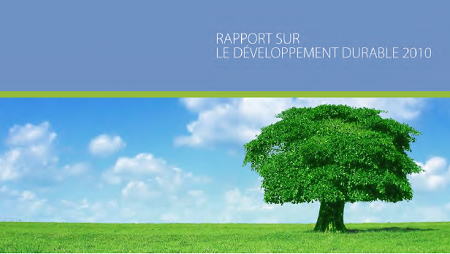  Informe de desarrollo sostenible 2010