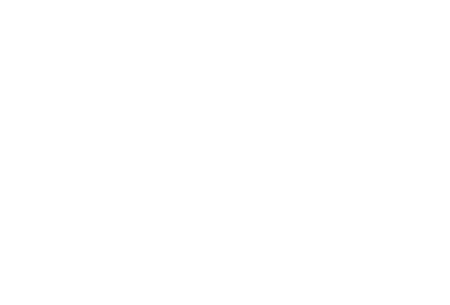 23 %